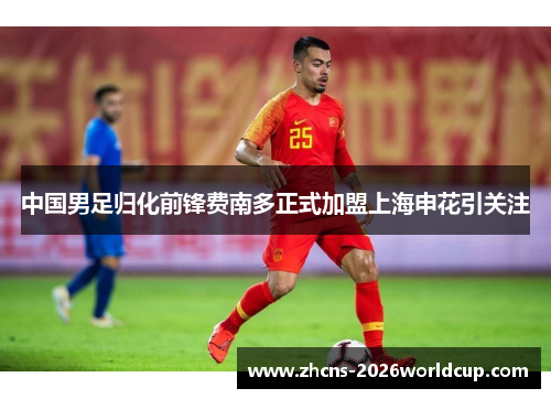 中国男足归化前锋费南多正式加盟上海申花引关注